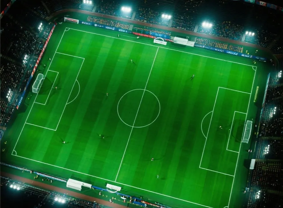 世界杯指南插图